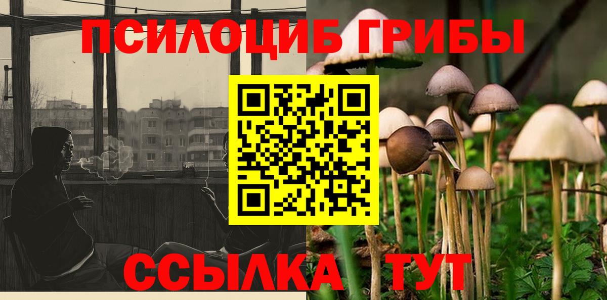 Псилоцибиновые грибы Psilocybine cubensis  Вход с VPN  Галлюциногенные грибы Cubensis  Урай 